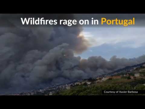 Portuguese wildfires kill at least three people in Madeira