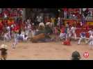 Eight injured on last day of Spain's bull-run festival