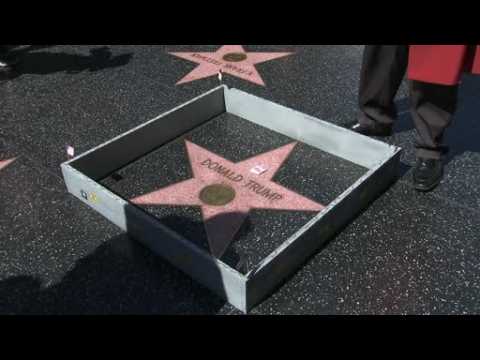Artist erects wall around Trump's Walk of Fame star