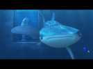 Finding Dory – You're A Beluga  – Official Disney Pixar | HD