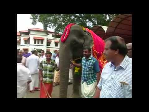 World's 'oldest' living elephant honoured in southern India