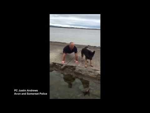 UK police dog joins handler in 22 push-ups challenge