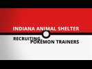 Rescue pups and Pokemon Go: A dog shelter's genius plan