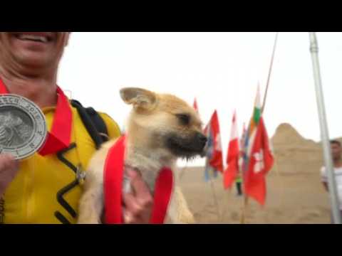 Extreme runner to take Chinese stray dog home