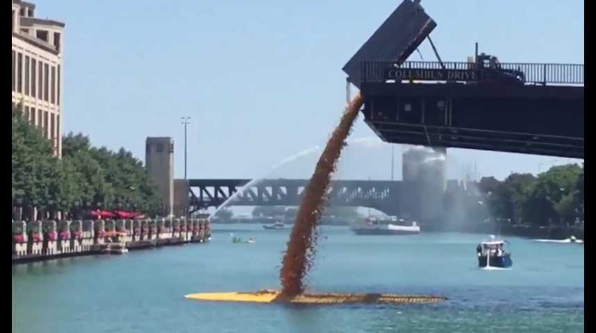 Une course géante avec des milliers de canards en plastique prévue sur la  Garonne à Toulouse