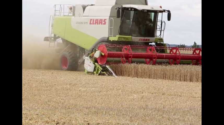 Illustration pour la vidéo Blé : la pire récolte depuis 30 ans en France
