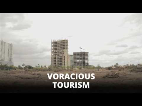 Cancun Ecocide: All-inclusive tourism razes mangrove