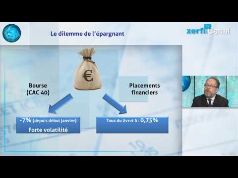 Consommer ou épargner ? Ce que vont faire les Français en 2016