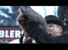 Pa. groundhog predicts early spring