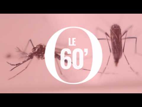 Pourquoi Zika devient une 