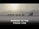Heart, soul and huskies race across Siberia