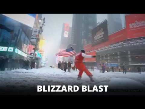 Blizzard brings the bizarre, cute and funny in the USA