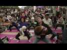 Dog yoga world record attempted in Hong Kong