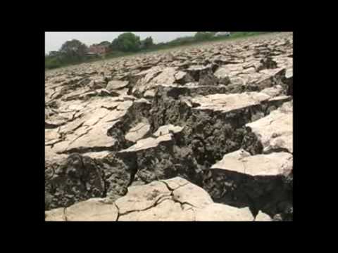 Heat wave, drought ravage India