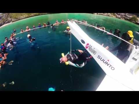 New Zealander sets new freediving world record
