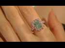 World’s largest green diamond up for auction