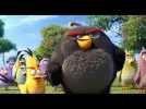 The Angry Birds Movie - Did We Win Clip - Incoming May 13