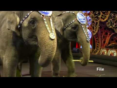 Famed U.S. circus act packs up trunks and retires
