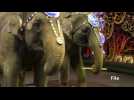 Famed U.S. circus act packs up trunks and retires