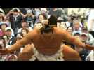 Japan's sumo wrestlers mark spring festival in Tokyo