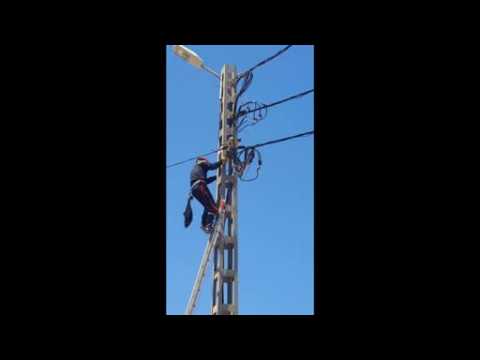 Trapped cat uses powerline to evade rescuer in Algeria