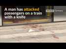 Man knifes rail passengers at German train station