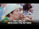 Pet circus: Making golden oldies grin again