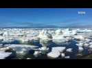 Arctic ice melting in 2016 heat: NASA