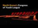 North Korean students put on torchlight spectacle