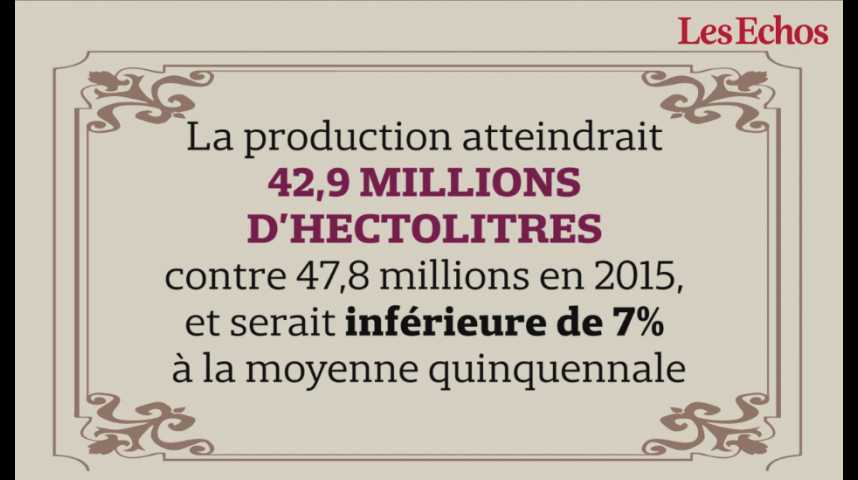 Illustration pour la vidéo La production française de vin s’annonce en baisse d’environ 10% en 2016