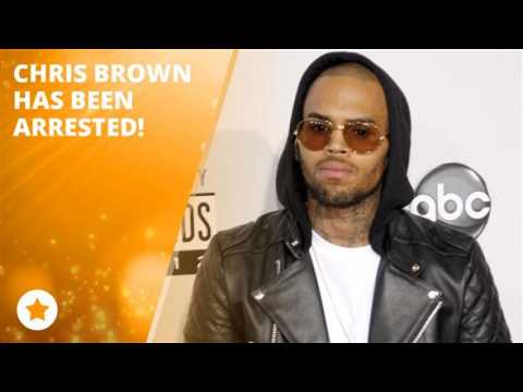 Chris Brown's in trouble again