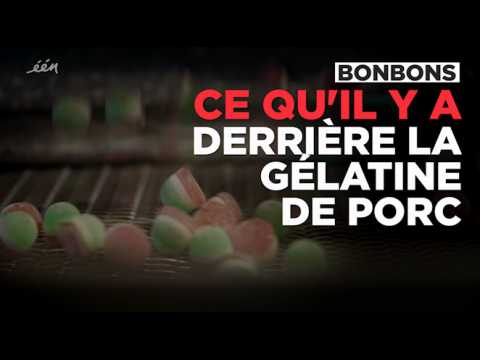 Découvrez d'où vient la gélatine des bonbons