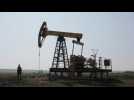 Oil slips towards $47 as output hopes wane