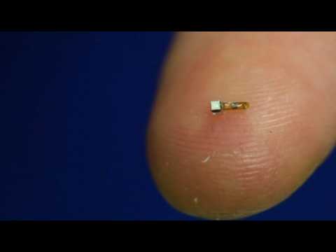 Tiny 'fitbits' to keep tabs on the body from within