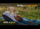 Goat Yoga becomes a hit