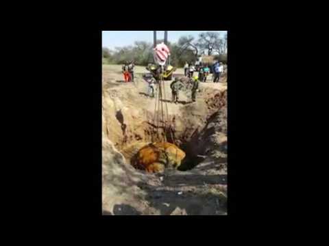 Giant meteorite uncovered in Argentina