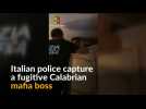 Italian police catch mafia boss hiding in secret room