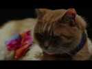 A Street Cat Named Bob - Big Issues - At Cinemas November 4