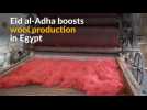 Wool production rises ahead of Eid al-Adha in Egypt
