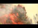 Wildfire scorches 1000 acres in Santa Cruz