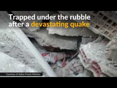 Italy quake survivor trapped under rubble