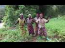 République démocratique du Congo : Albertine et Mabulayi, femmes bambuti dans la réserve naturelle d'Itombwe