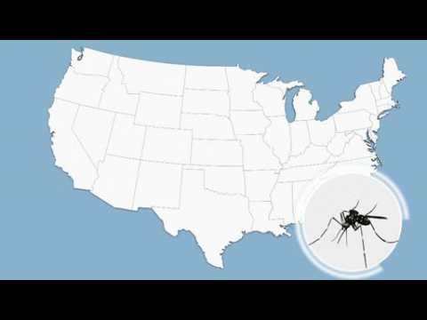 How the CDC plans to control the spread of Zika