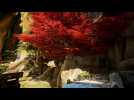 Vidéo Obduction - Part 16 - Redonner de l'Eau à l'Arbre de Maray Vidéo Obduction - Part 16 - Redonner de l'Eau à l'Arbre de Maray