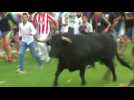 Protesters claim victory in Spanish bull-lancing festival