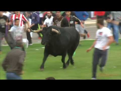 Protesters claim victory in Spanish bull-lancing festival