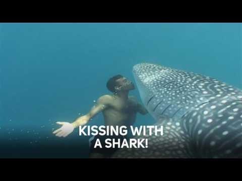 Breathtaking human-animal underwater encounters