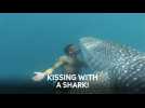 Breathtaking human-animal underwater encounters