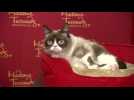 Grumpy Cat unveils waxwork, makes Broadway debut