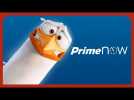 Vidéo Cigognes & Compagnie - Amazon Prime Now Vidéo Cigognes & Compagnie - Amazon Prime Now
